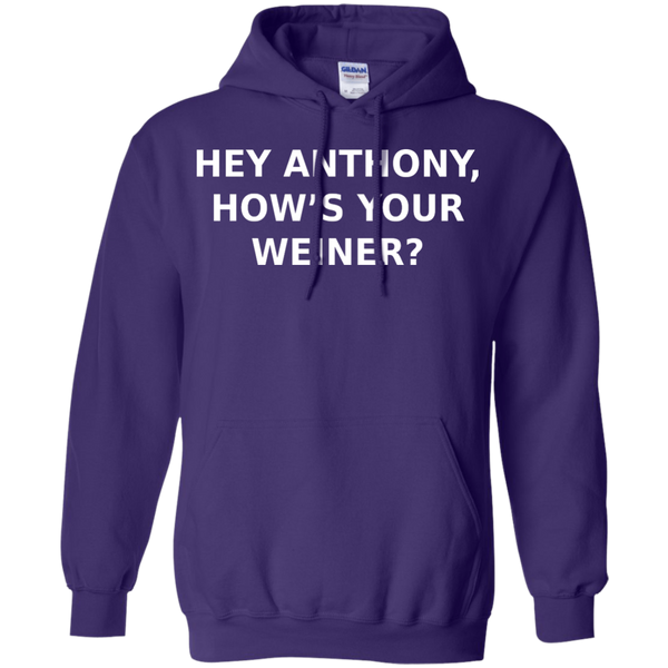 Hey Anthony, How's Your Weiner? - Pullover Hoodie