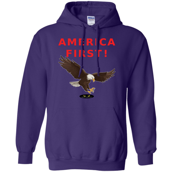 AMERICA FIRST! - Pullover Hoodie