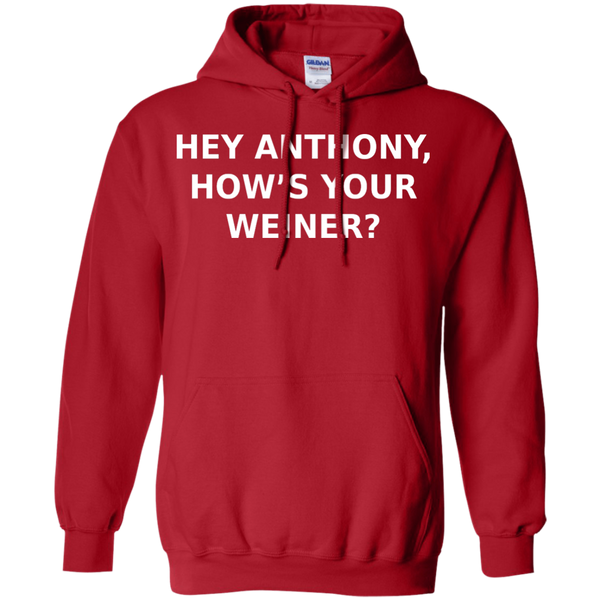 Hey Anthony, How's Your Weiner? - Pullover Hoodie