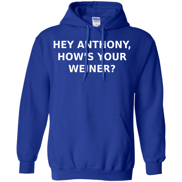 Hey Anthony, How's Your Weiner? - Pullover Hoodie